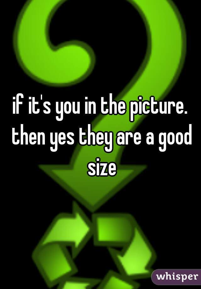 if it's you in the picture. then yes they are a good size