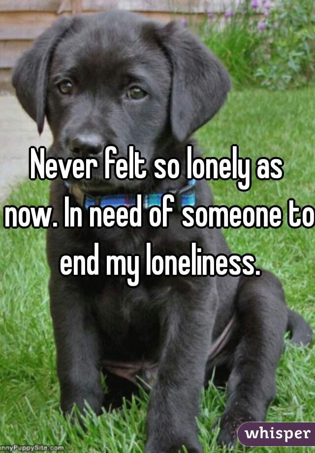 Never felt so lonely as now. In need of someone to end my loneliness.