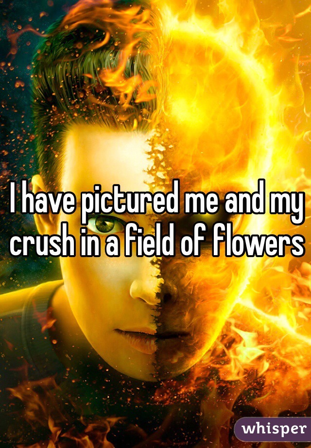 I have pictured me and my crush in a field of flowers