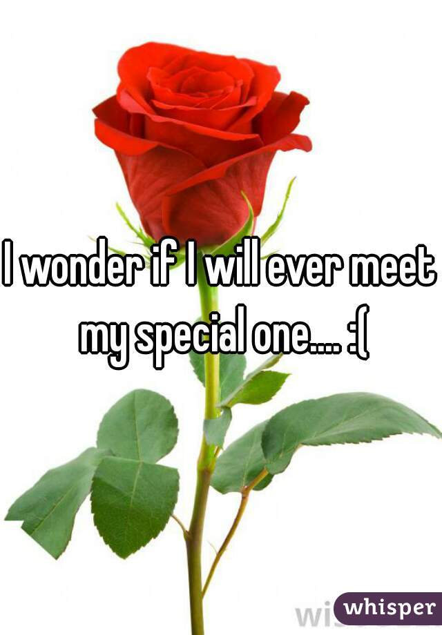 I wonder if I will ever meet my special one.... :(