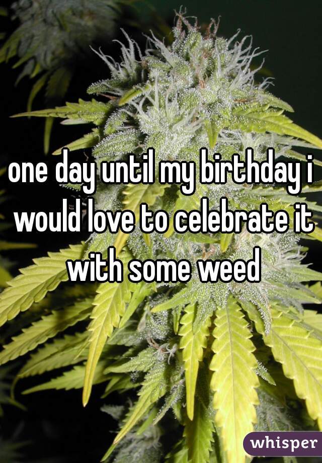 one day until my birthday i would love to celebrate it with some weed