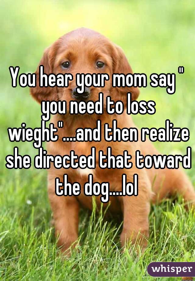 You hear your mom say " you need to loss wieght"....and then realize she directed that toward the dog....lol 