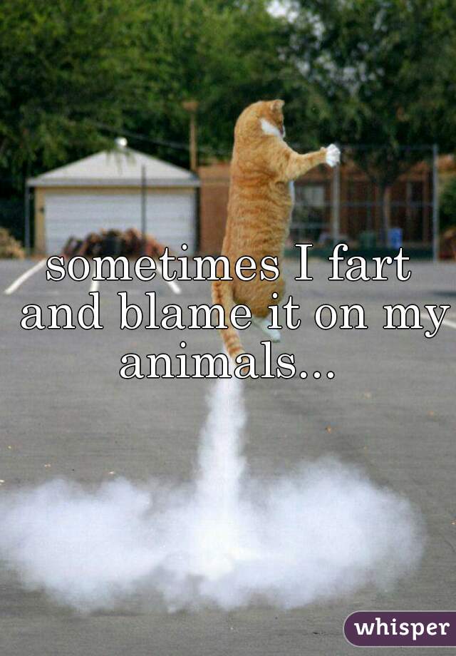 sometimes I fart and blame it on my animals... 