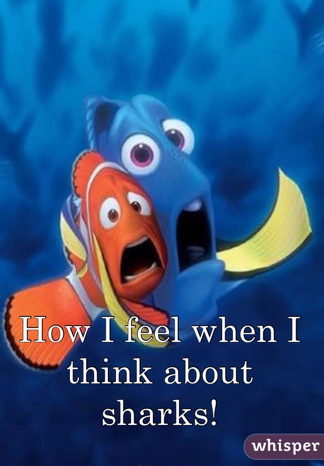 How I feel when I think about sharks!