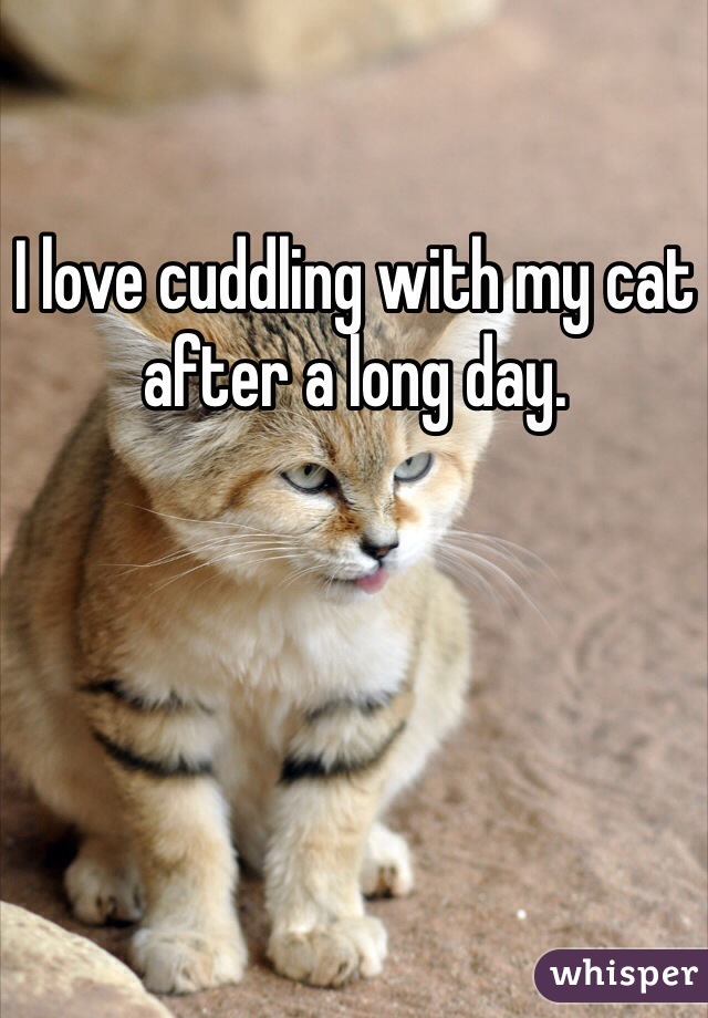 I love cuddling with my cat after a long day.