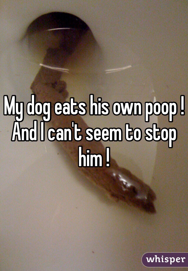 My dog eats his own poop ! And I can't seem to stop him ! 