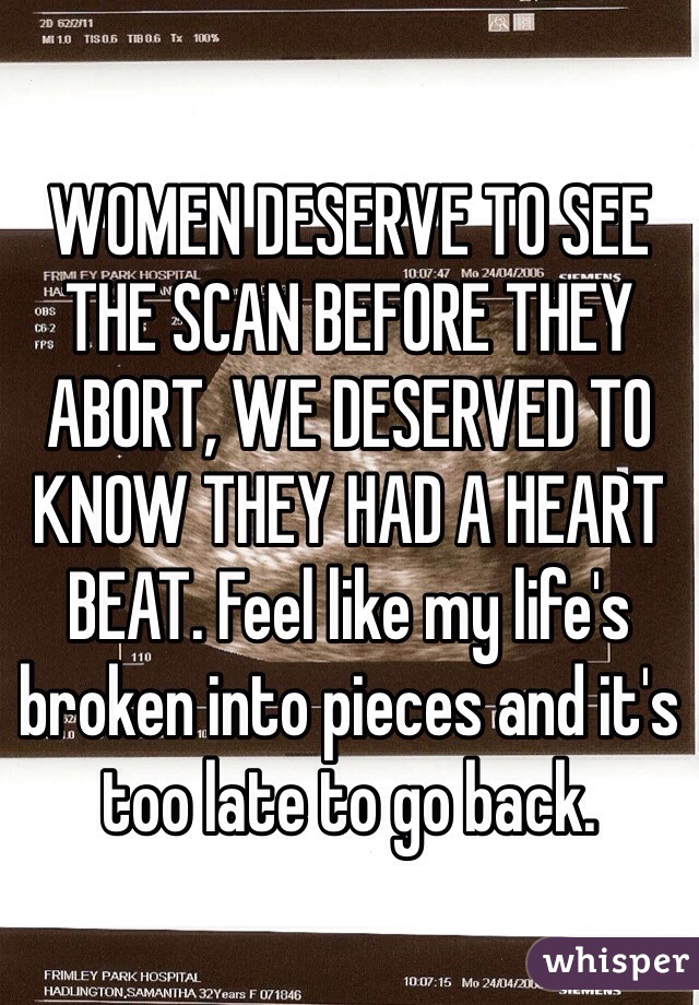 WOMEN DESERVE TO SEE THE SCAN BEFORE THEY ABORT, WE DESERVED TO KNOW THEY HAD A HEART BEAT. Feel like my life's broken into pieces and it's too late to go back. 