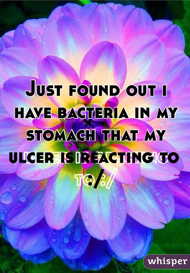 Just found out i have bacteria in my stomach that my ulcer is reacting to :/