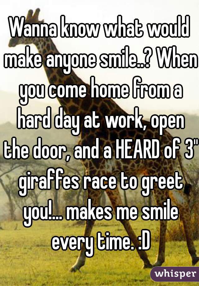 Wanna know what would make anyone smile..? When you come home from a hard day at work, open the door, and a HEARD of 3" giraffes race to greet you!... makes me smile every time. :D