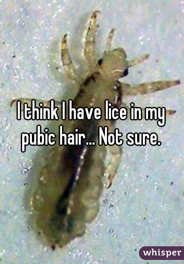 I think I have lice in my pubic hair... Not sure. 
