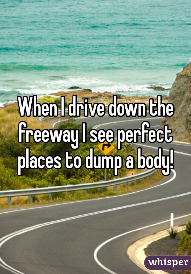 When I drive down the freeway I see perfect places to dump a body! 