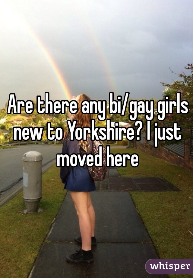 Are there any bi/gay girls new to Yorkshire? I just moved here 