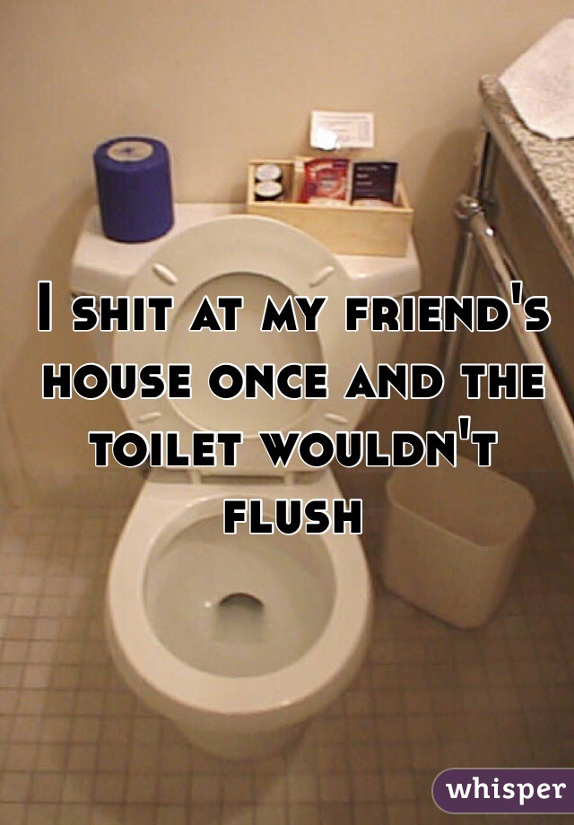 I shit at my friend's house once and the toilet wouldn't flush 