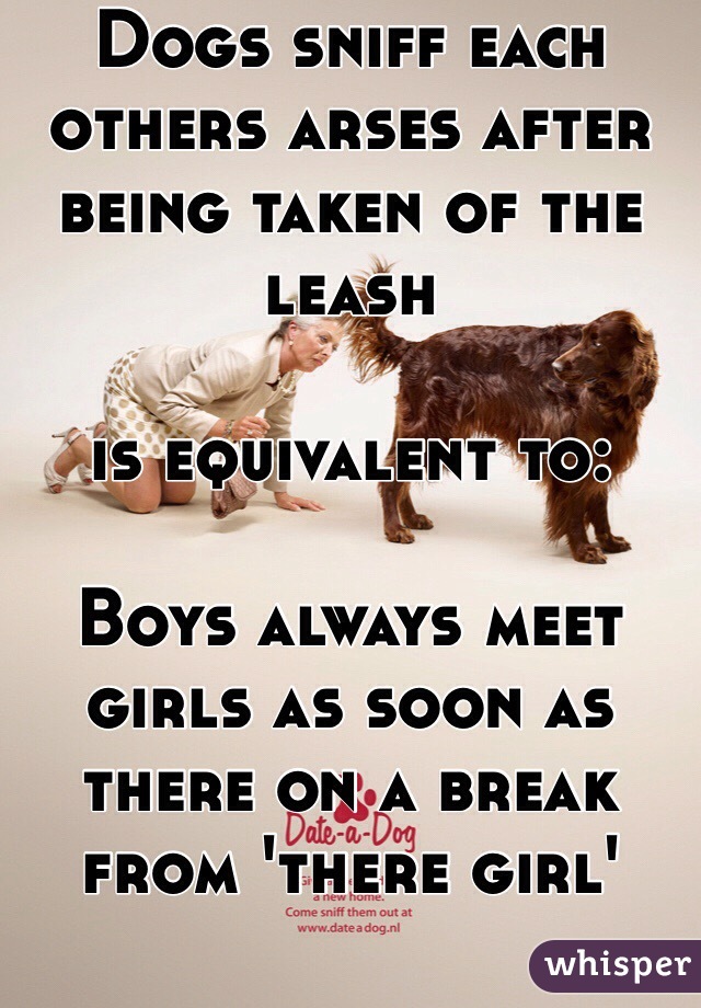 Dogs sniff each others arses after being taken of the leash

is equivalent to:

Boys always meet girls as soon as there on a break from 'there girl' 


