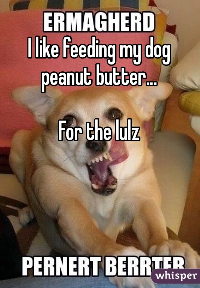 I like feeding my dog peanut butter...

For the lulz