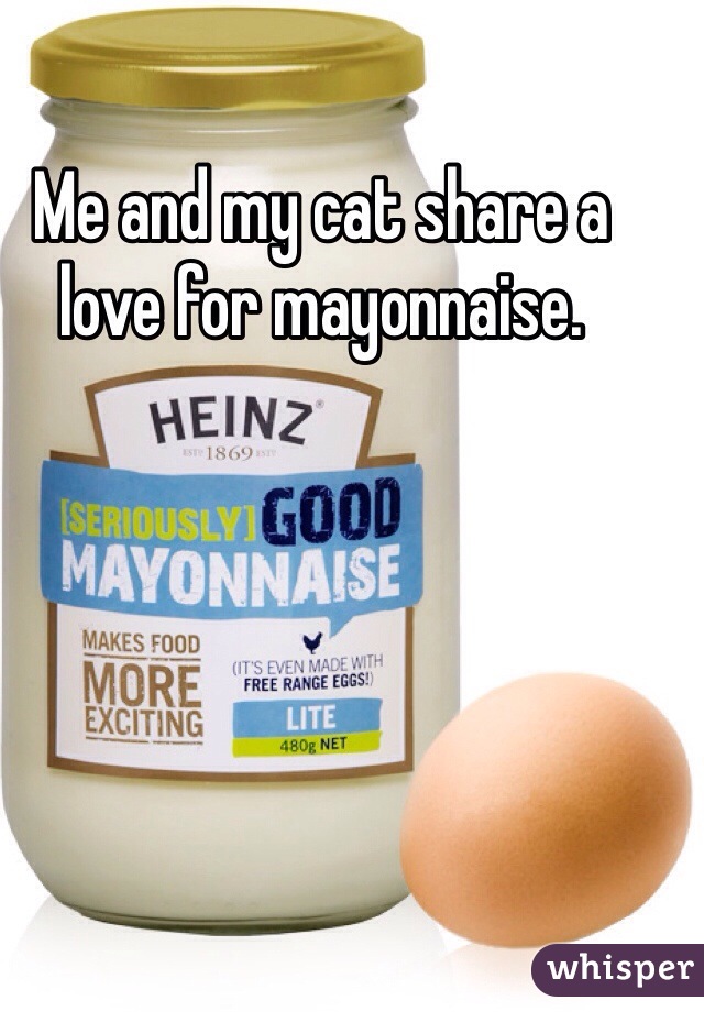 Me and my cat share a love for mayonnaise.