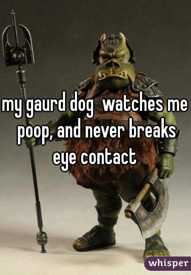 my gaurd dog  watches me poop, and never breaks eye contact 