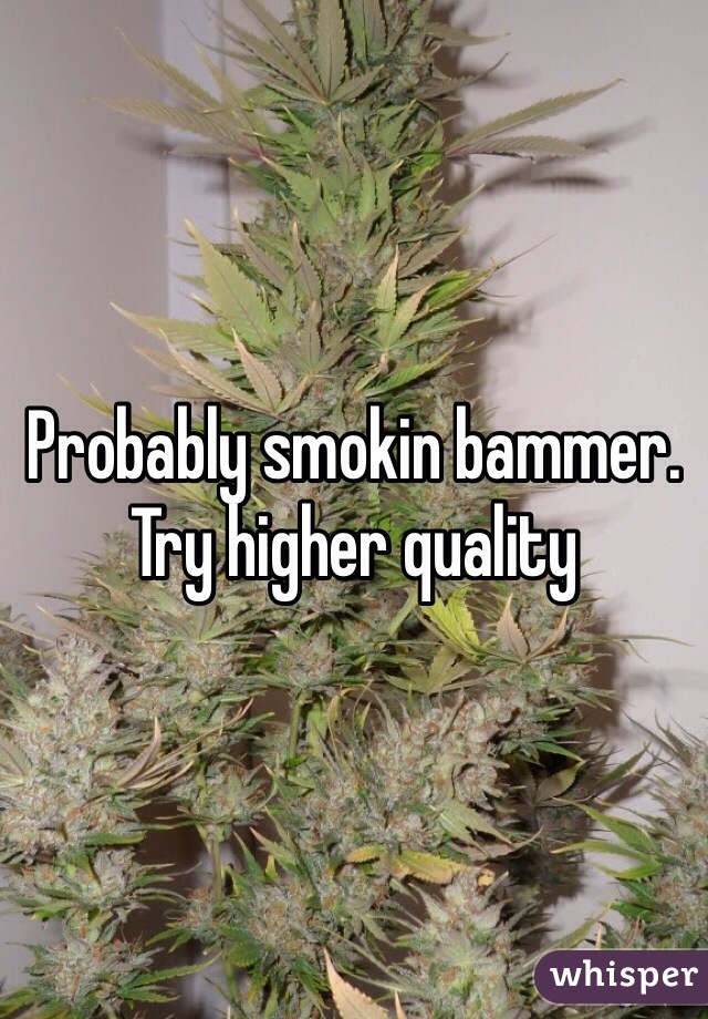 Probably smokin bammer. Try higher quality