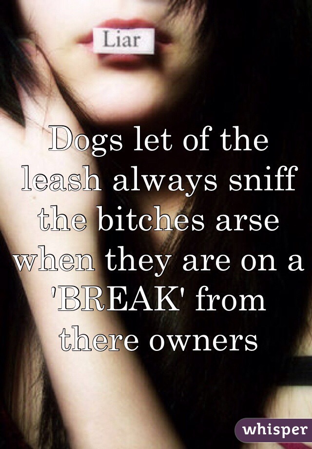 Dogs let of the leash always sniff the bitches arse when they are on a 'BREAK' from there owners