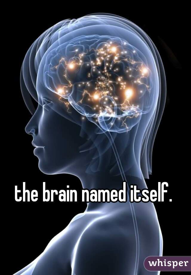the brain named itself.