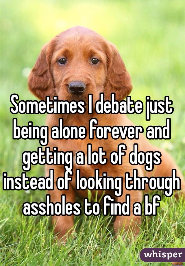 Sometimes I debate just being alone forever and getting a lot of dogs instead of looking through assholes to find a bf