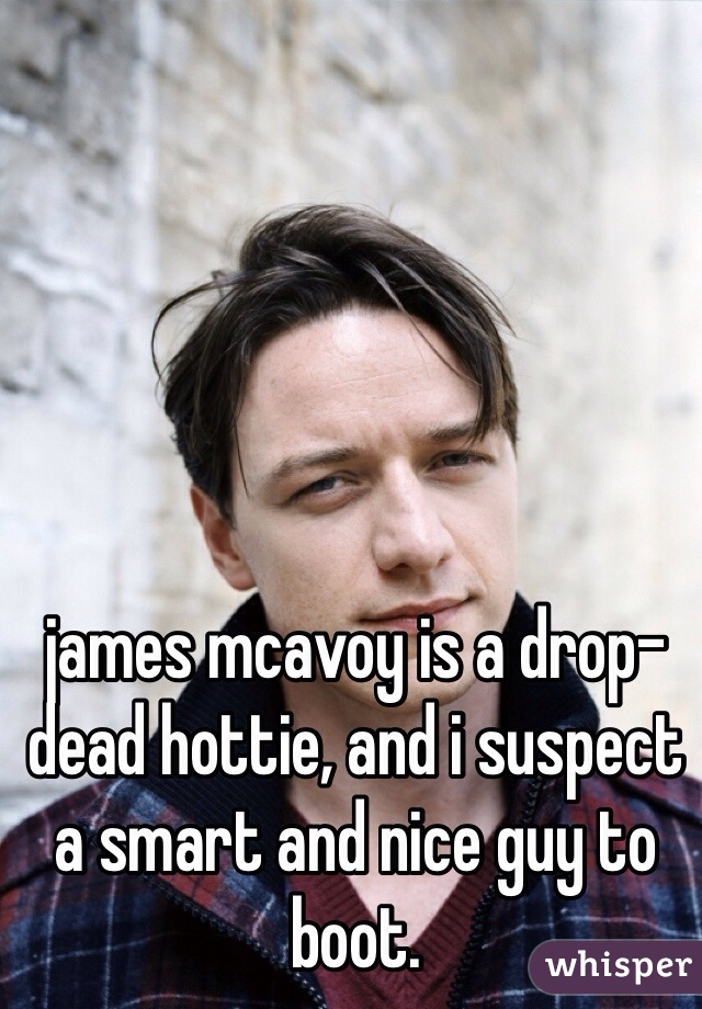 james mcavoy is a drop-dead hottie, and i suspect a smart and nice guy to boot. 