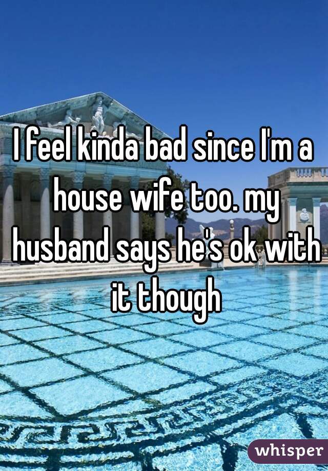 I feel kinda bad since I'm a house wife too. my husband says he's ok with it though