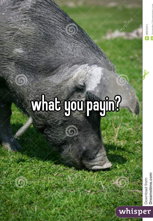 what you payin?