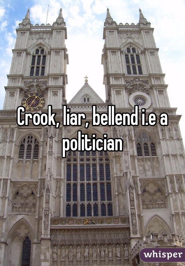 Crook, liar, bellend i.e a politician