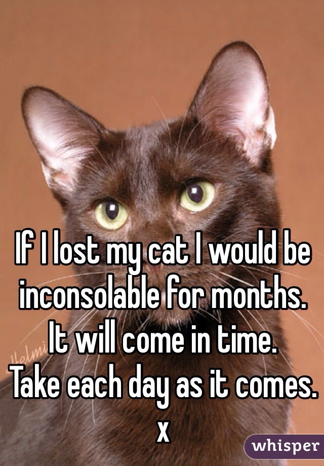 If I lost my cat I would be inconsolable for months. 
It will come in time. 
Take each day as it comes. 
x
