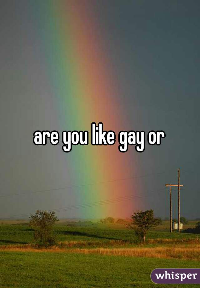 are you like gay or