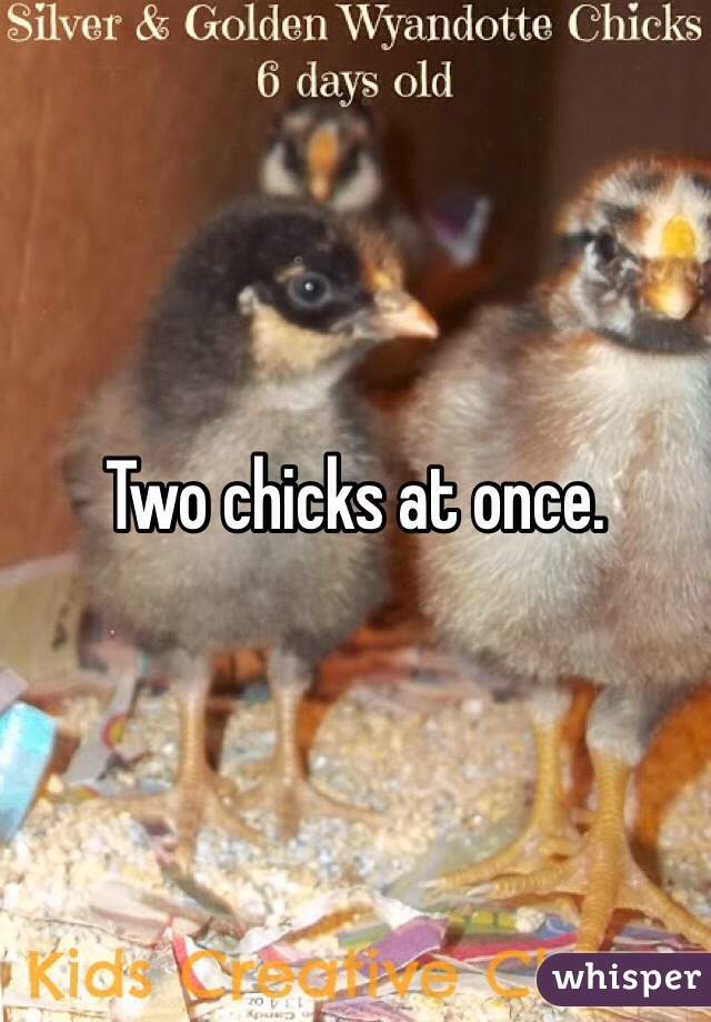 Two chicks at once. 