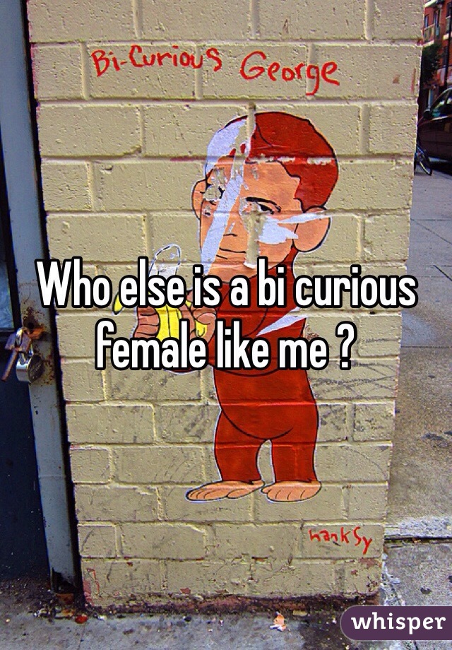 Who else is a bi curious female like me ?