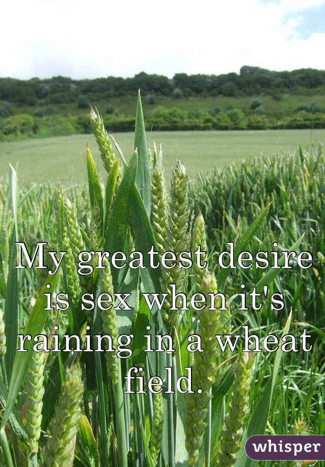 My greatest desire is sex when it's raining in a wheat field.