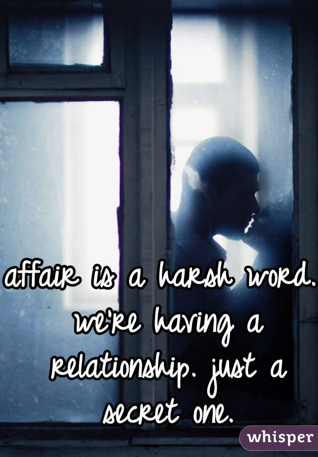 affair is a harsh word. we're having a relationship. just a secret one.
