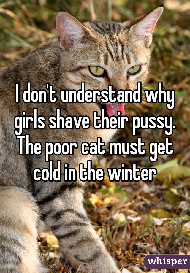 I don't understand why girls shave their pussy. The poor cat must get cold in the winter