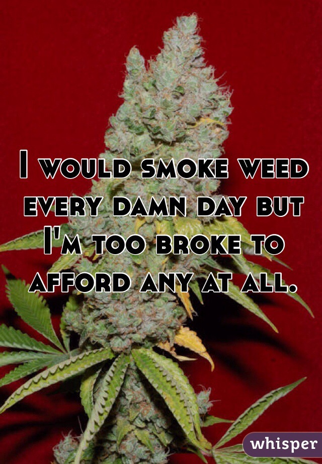 I would smoke weed every damn day but I'm too broke to afford any at all.