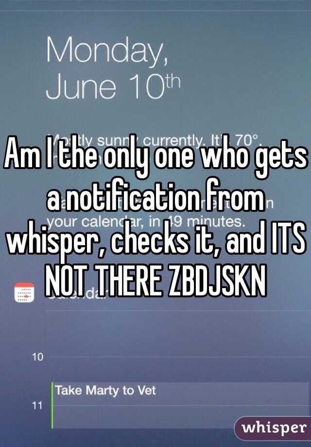 Am I the only one who gets a notification from whisper, checks it, and ITS NOT THERE ZBDJSKN