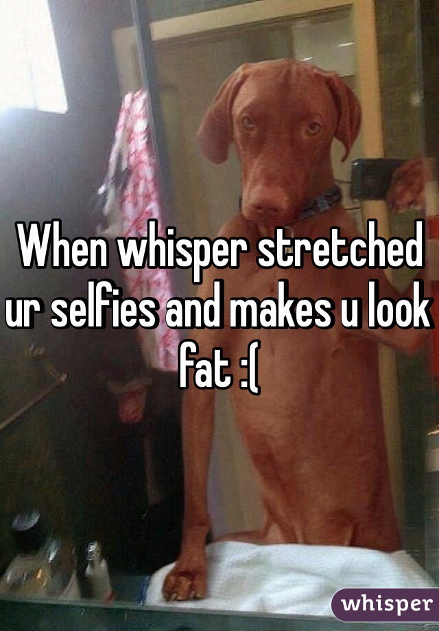When whisper stretched ur selfies and makes u look fat :(