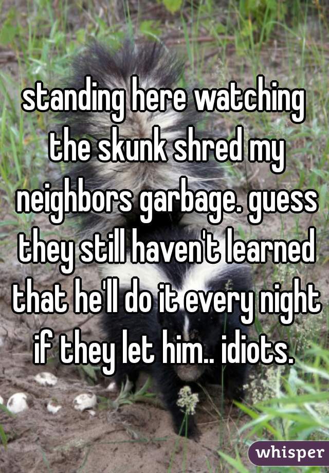 standing here watching the skunk shred my neighbors garbage. guess they still haven't learned that he'll do it every night if they let him.. idiots. 