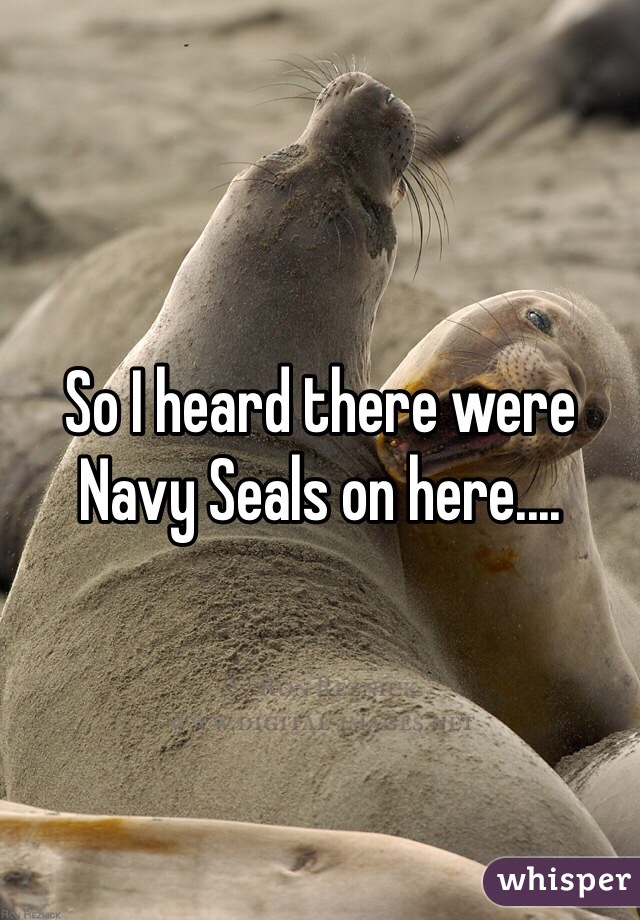 So I heard there were Navy Seals on here....