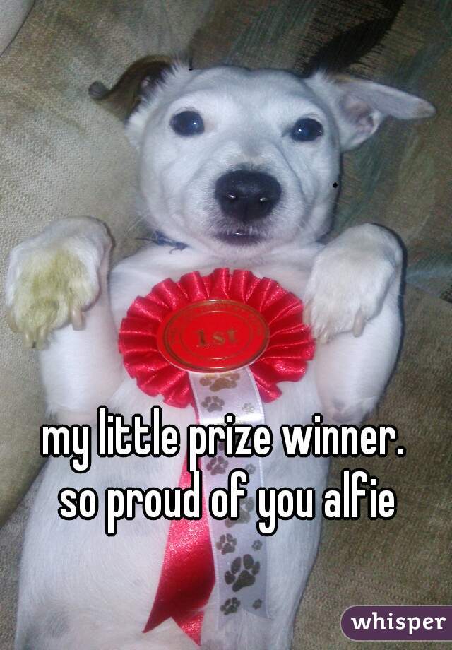 my little prize winner. 
so proud of you alfie
