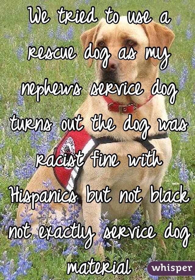 We tried to use a rescue dog as my nephews service dog turns out the dog was racist fine with Hispanics but not black not exactly service dog material