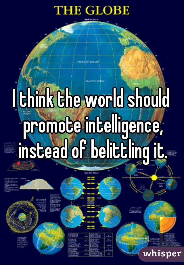 I think the world should promote intelligence, instead of belittling it.