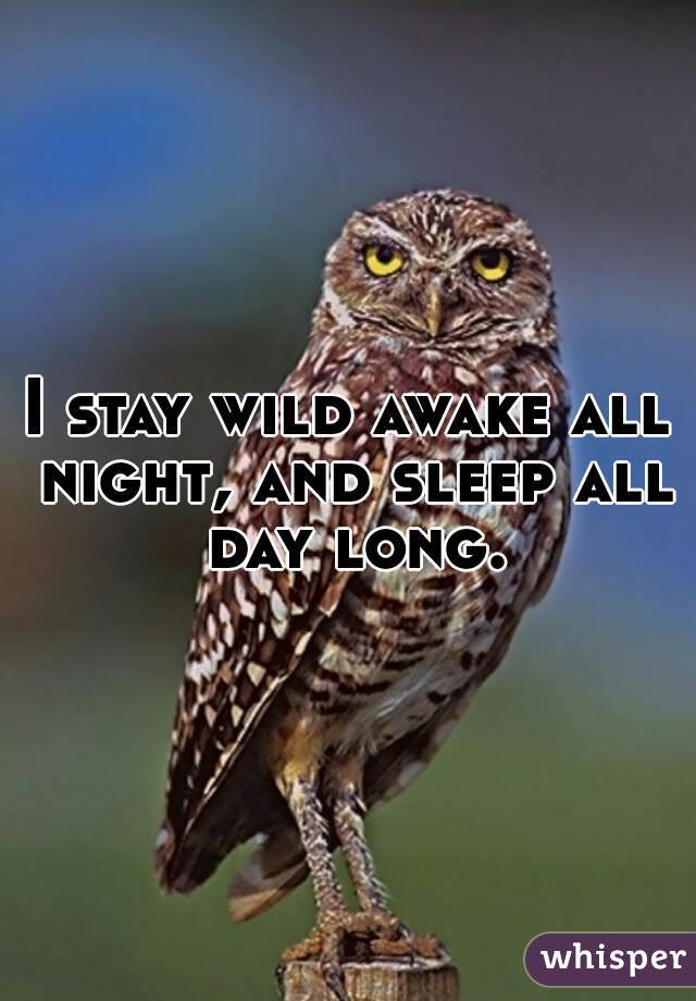 I stay wild awake all night, and sleep all day long.