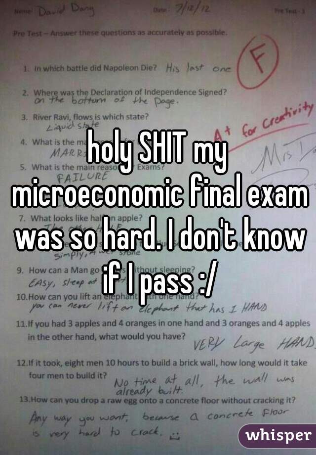 holy SHIT my microeconomic final exam was so hard. I don't know if I pass :/
