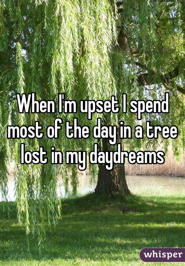 When I'm upset I spend most of the day in a tree lost in my daydreams