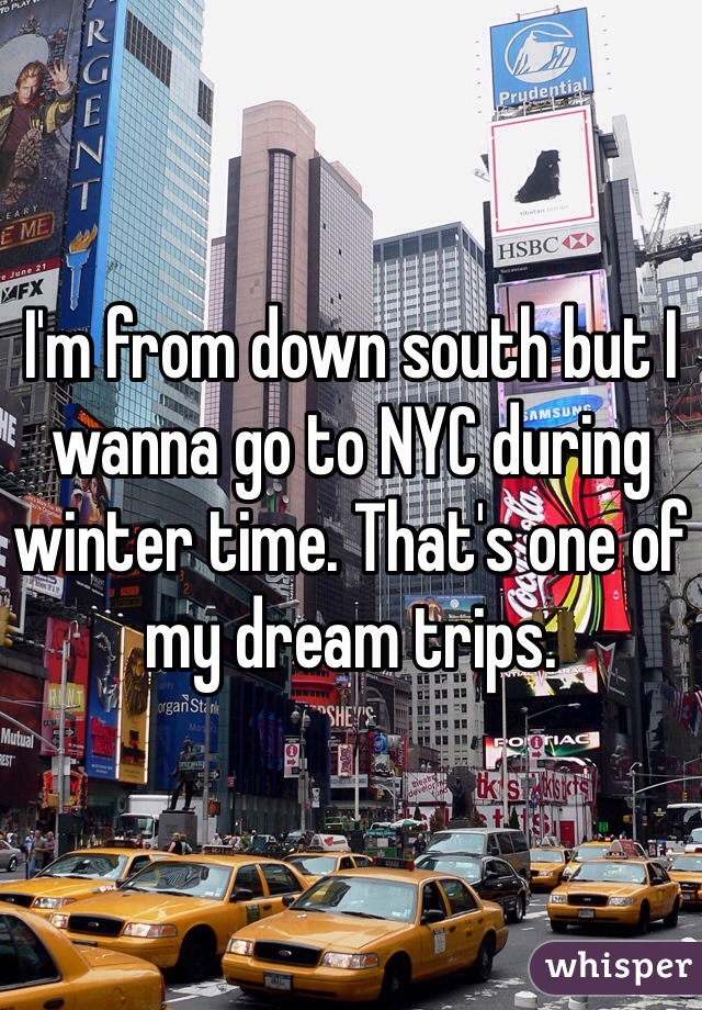 I'm from down south but I wanna go to NYC during winter time. That's one of my dream trips. 