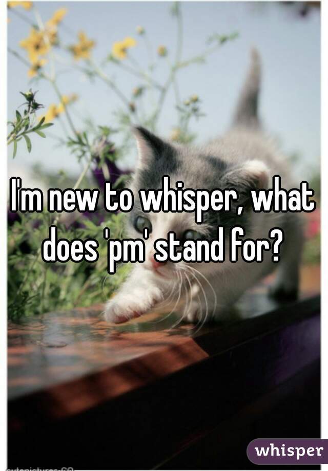 I'm new to whisper, what does 'pm' stand for? 