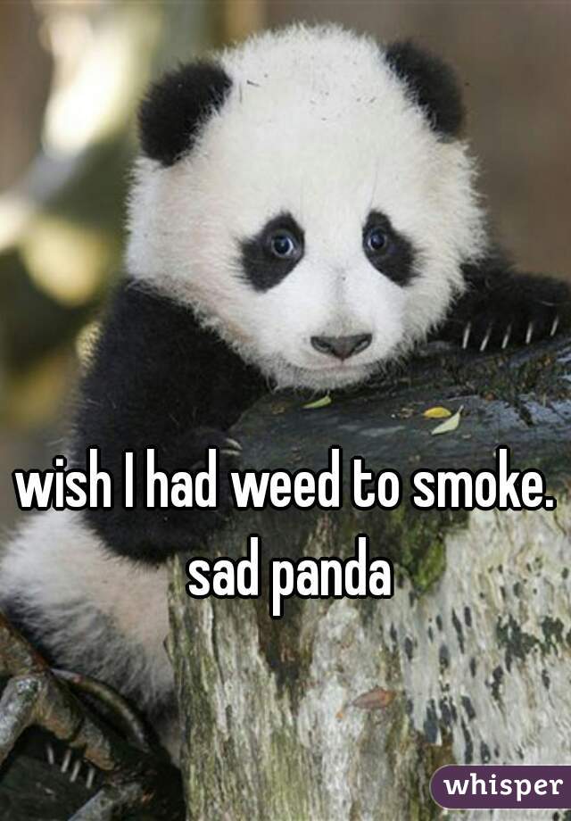 wish I had weed to smoke. sad panda